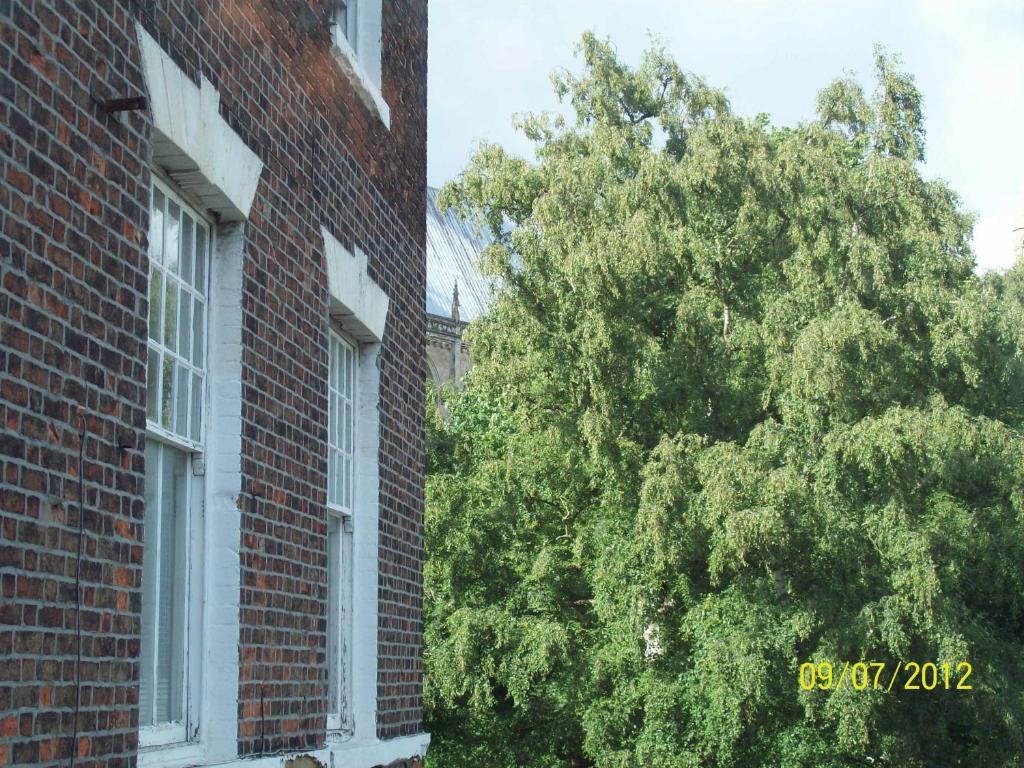 Minster Garth Guest House Beverley Zimmer foto
